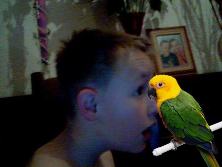 sa ses steven